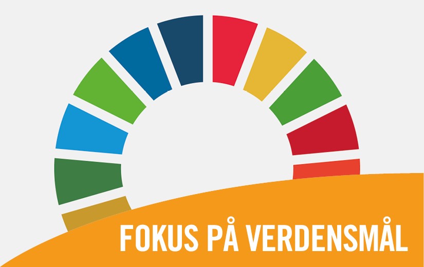 Fokus på verdensmål